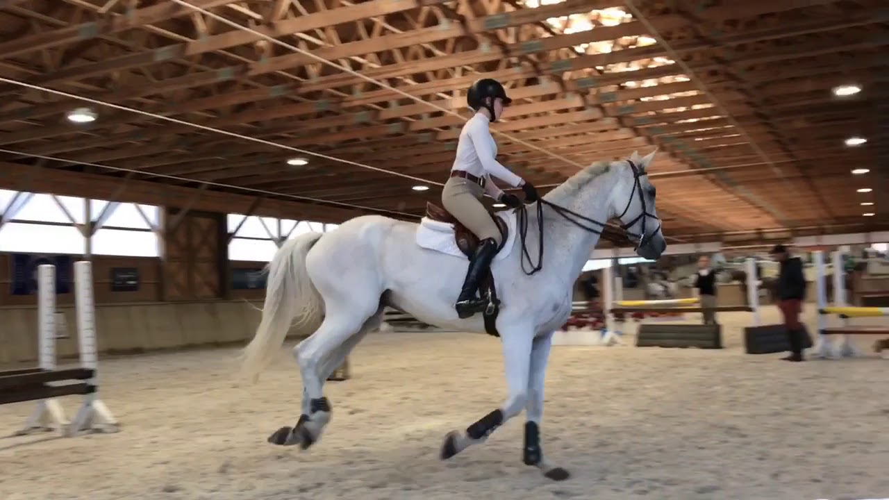 George Morris Clinic 2018