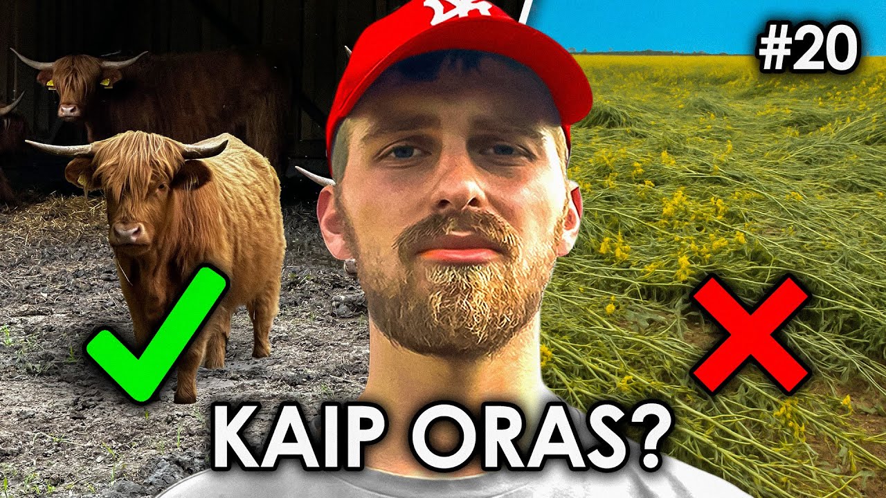 Hailenduzams Rojus, O Rapsui Vargas... // JAUNASIS ŪKININKAS #20