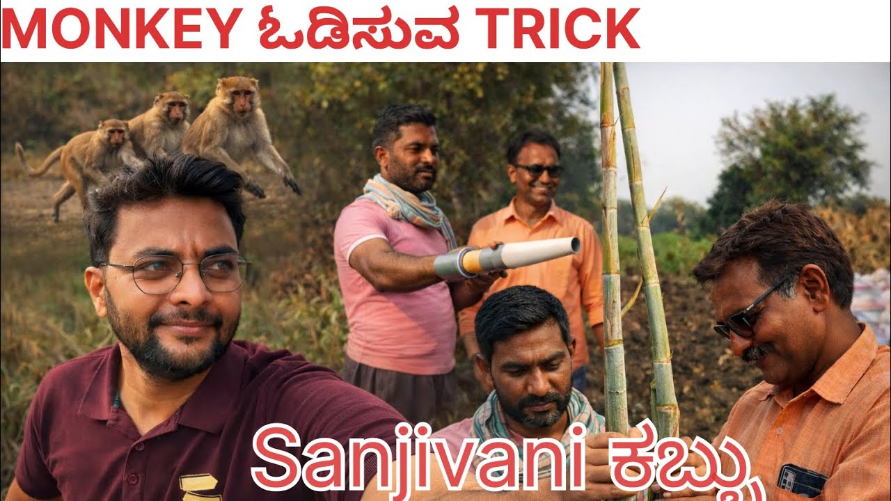 ಮಂಗಗಳ ಕಾಟಕ್ಕೆ ಕೊನೆಗೂ ಸಿಕ್ತು ಪರಿಹಾರ! 😱 (Finally found a solution for the monkey menace in our field!)