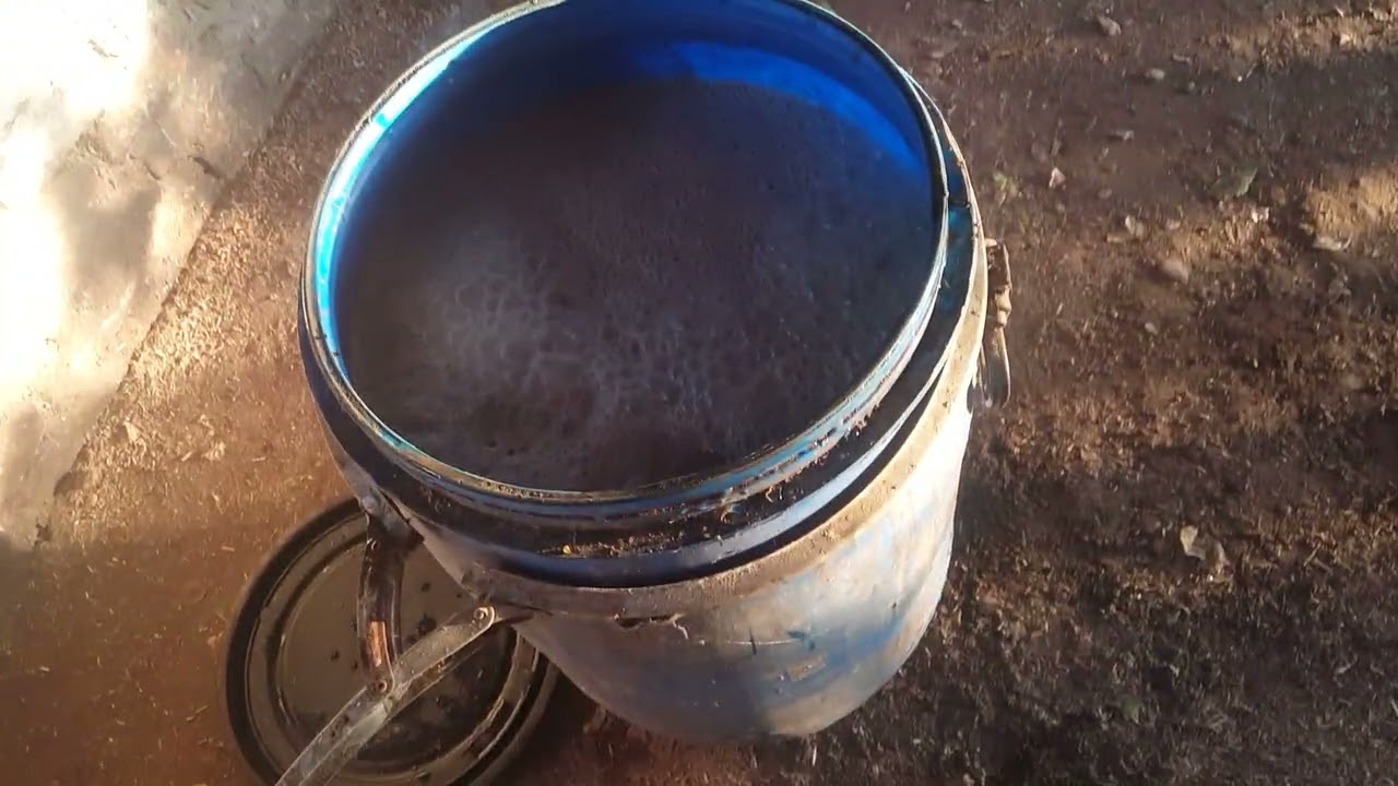 Composta de camarón