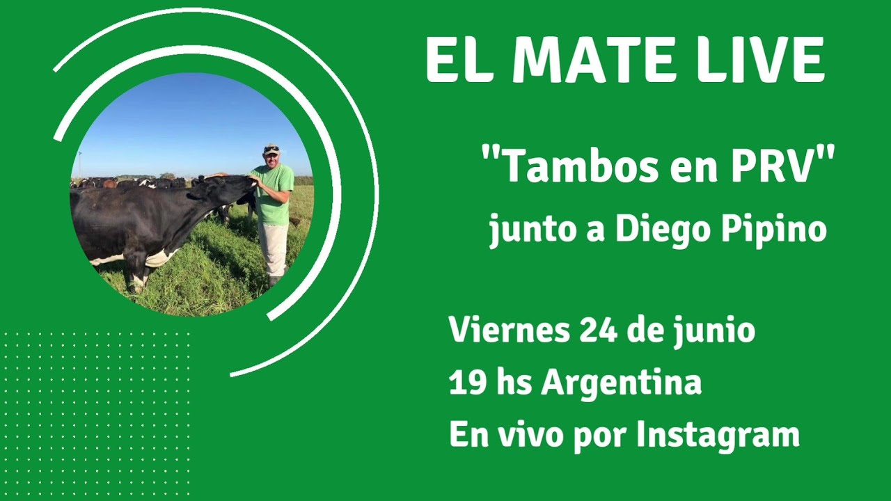 El Mate Live #8 