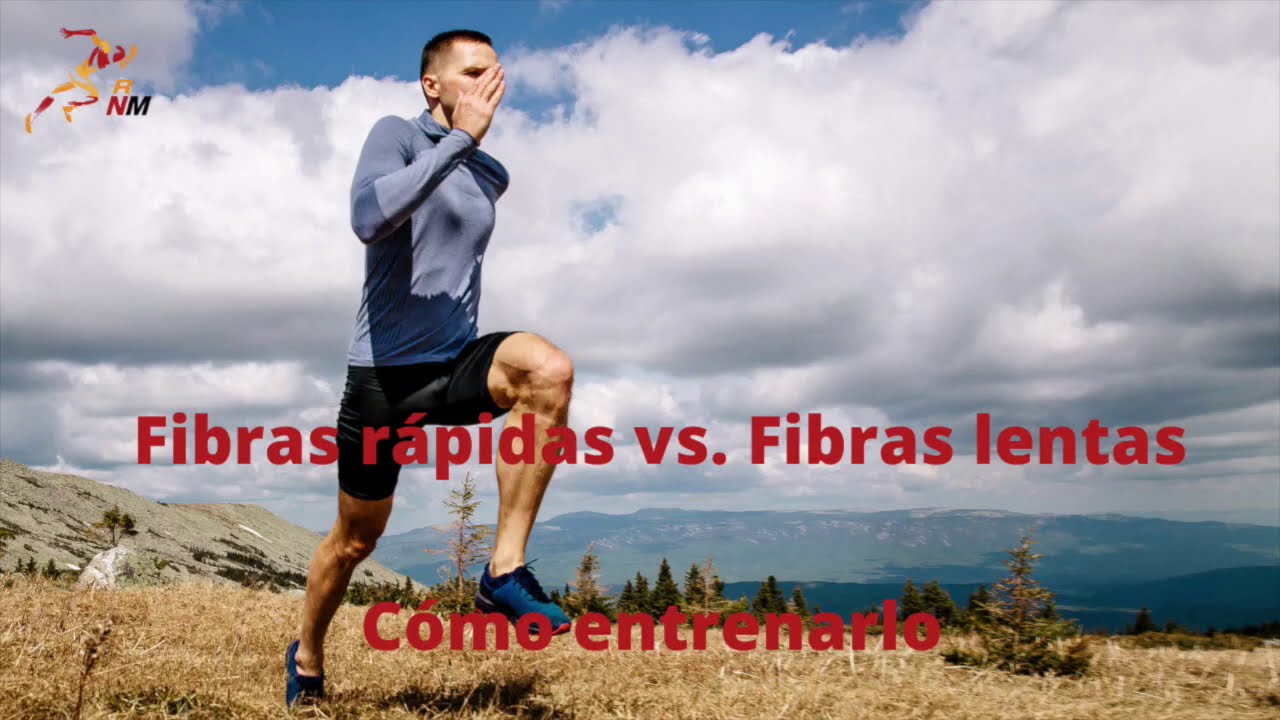 fibras rapidas vs. fibra lentas, cómo entrenarlo