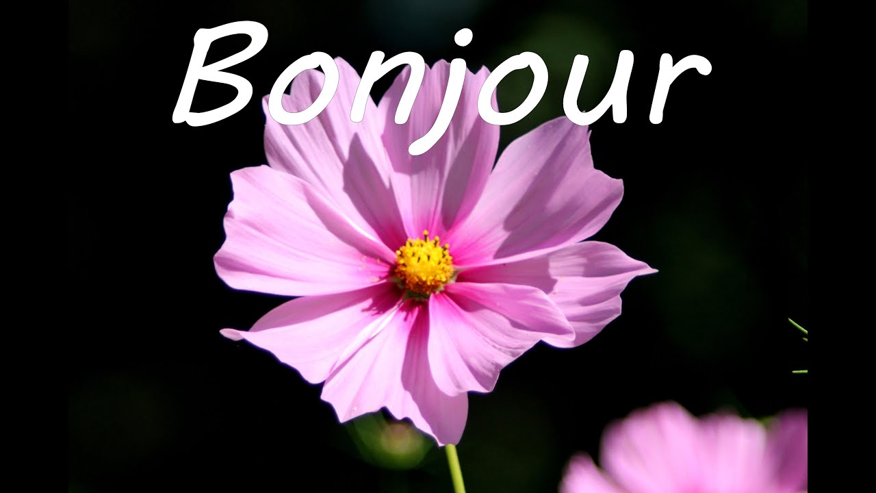 Bonjour et belle journée à toi