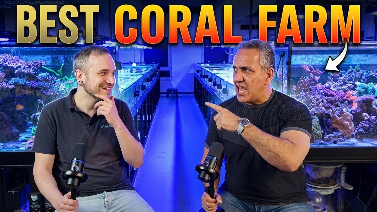 Внутри огромной европейской коралловой фермы | Экскурсия по комплексу по выращиванию белых кораллов!