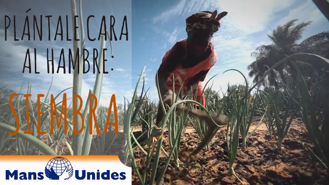 Campaña Manos Unidas 2016; Plántale cara al hambre