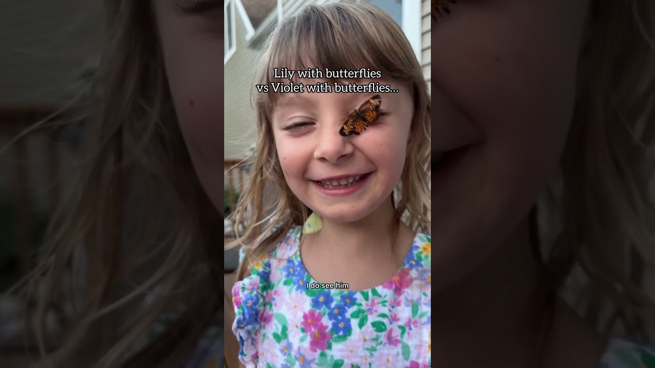 ALL summer Lily has been outside catching butterflies 😂 Violets been reading books. 📚