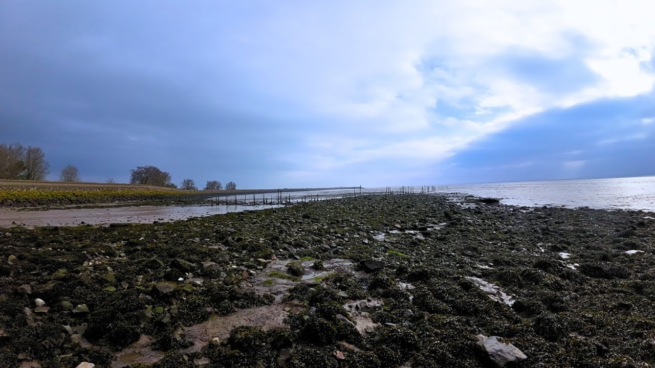 New Mark Gold Cliff Fishing  | #Newport | #seafishinguk | #fishingbristolchannel | #southwales