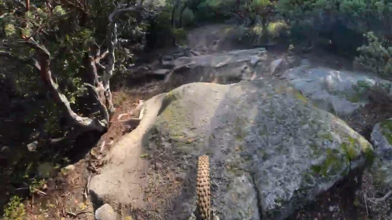 Bass Lake Mountain Biking 007 Trail Preview