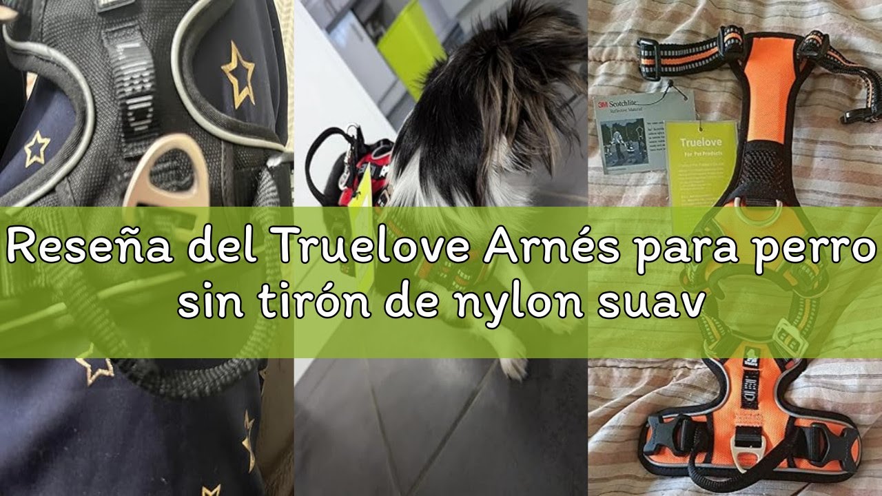 Reseña del Truelove Arnés para perro sin tirón de nylon suave reflectante ajustable para mascotas pe