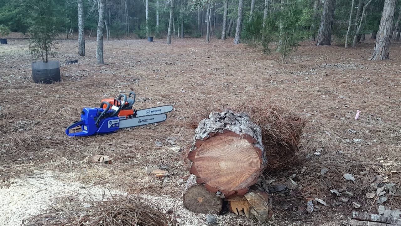 Huztl G366 MS361 Clone  FIRST CUTS  Holzfforma G366 Farmertec G366 Clone of Stihl MS361 Copy