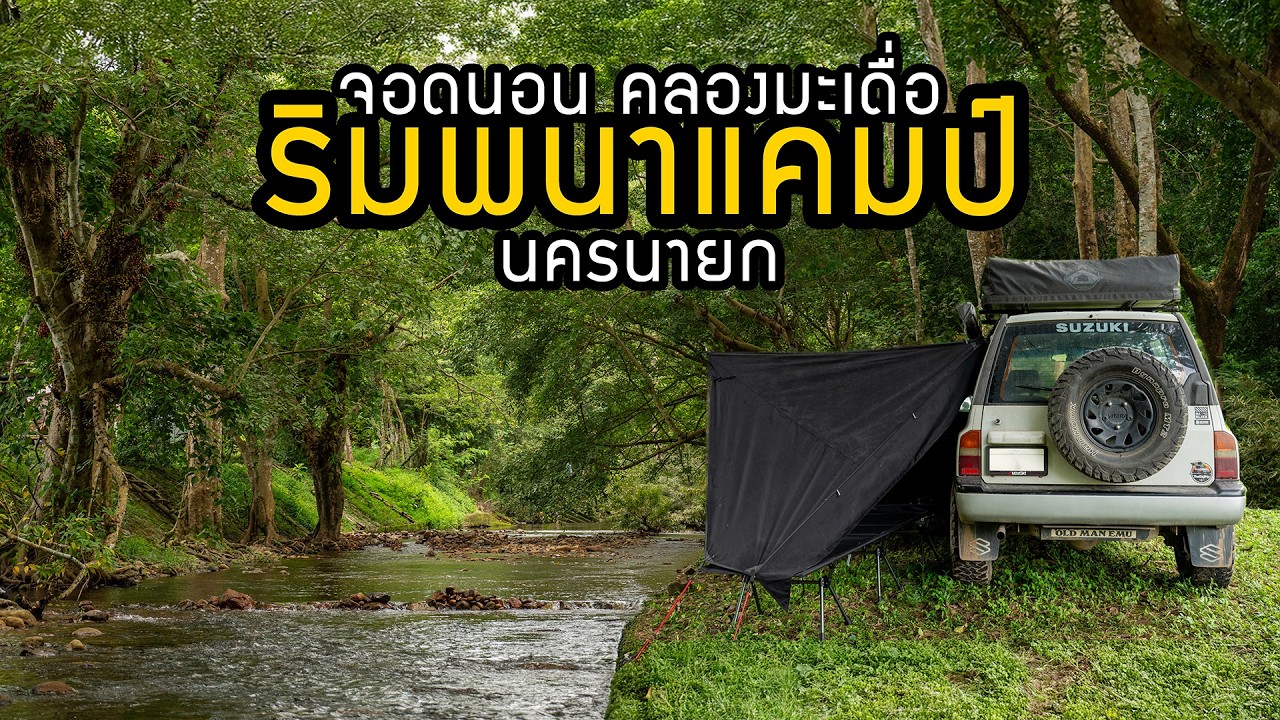 จอดนอนริมน้ำคลองมะเดื่อ ริมพนาแคมป์ ติดลำธารใสไหลเย็น ร่มรื่น กางเต็นท์เล่นน้ำนครนายก SOLO CAR CAMP