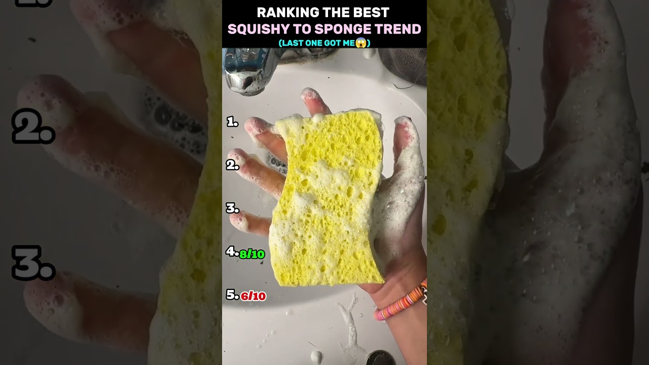 Ranking the best squishy to sponge trend #squishy #trend #sponge #transition