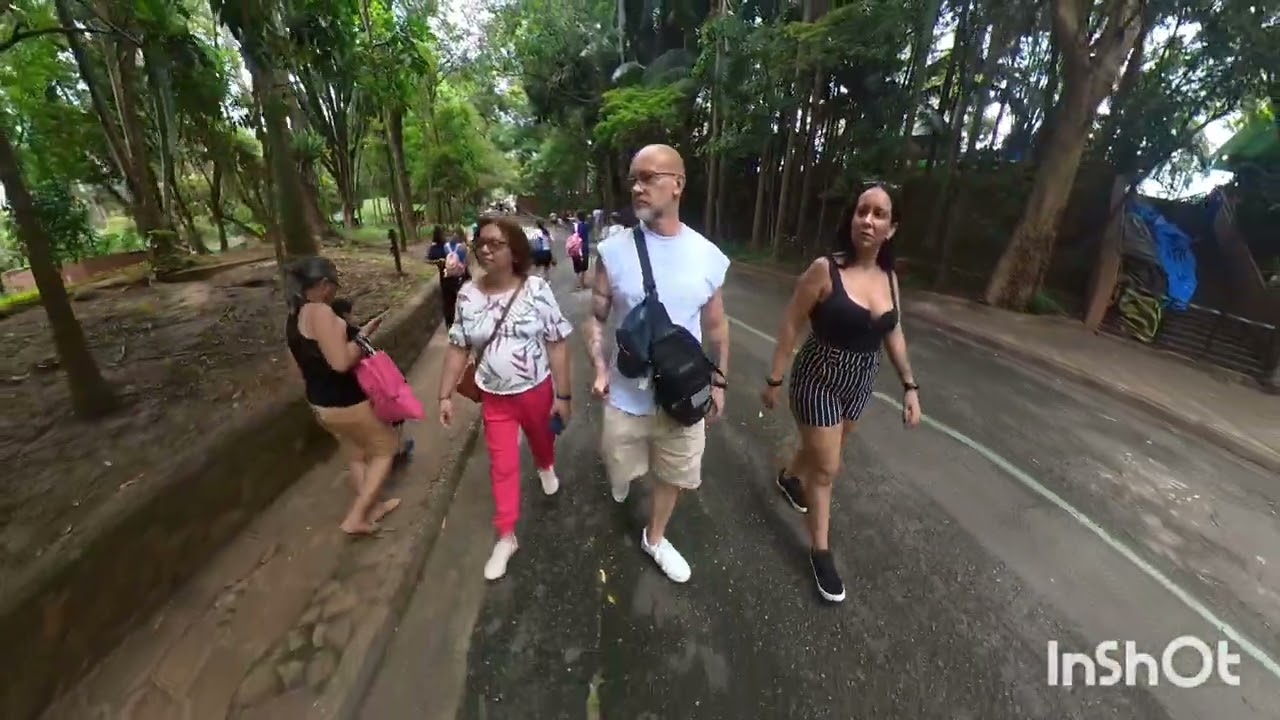 Zoológico de São Paulo - 01/26