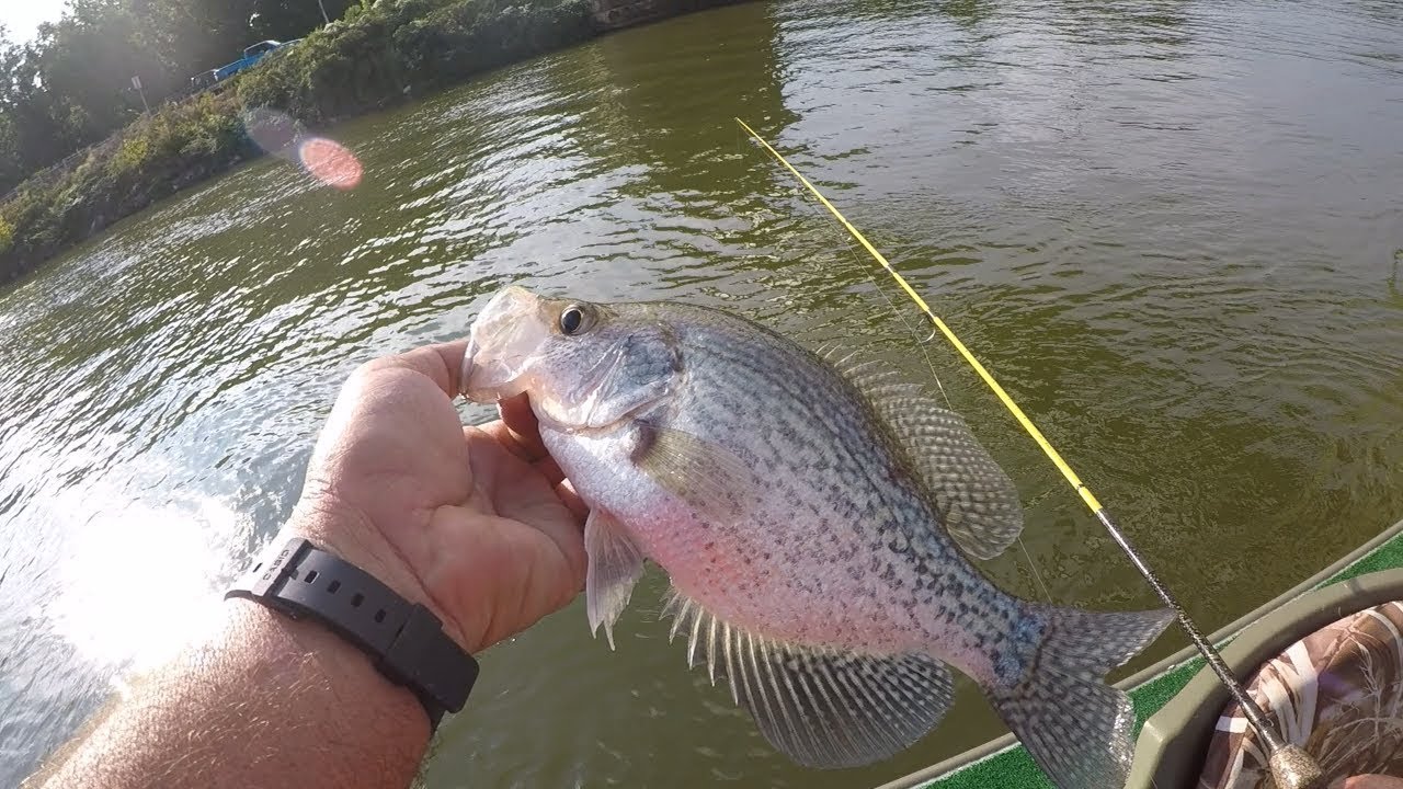 Big Crappie On The Coosa River