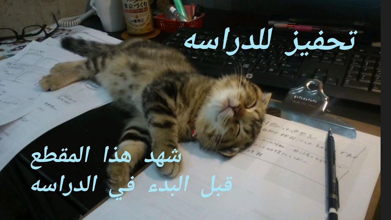 تحفيز الدراسه اتفرج على المقطع قبل ما تبدا الدرس #motivation #اكسبلور #تحفيز 