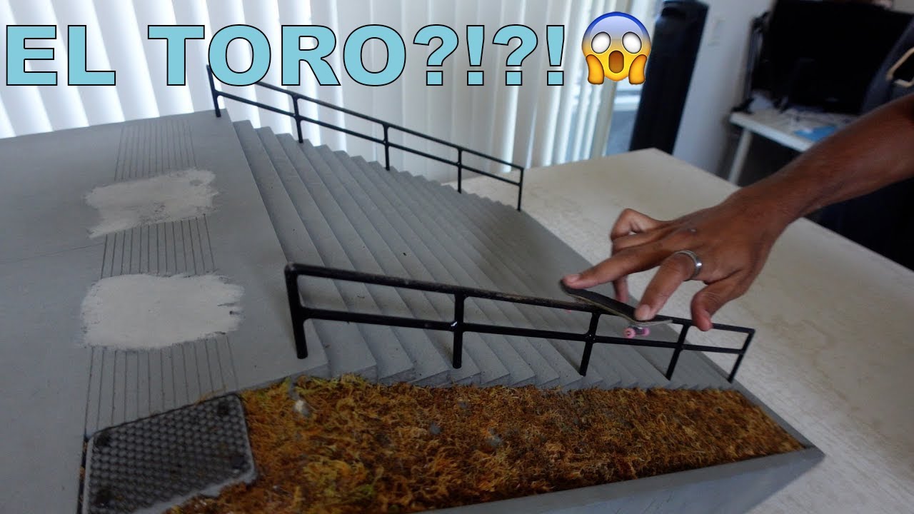FINGERBOARDING EL TORO?!?!