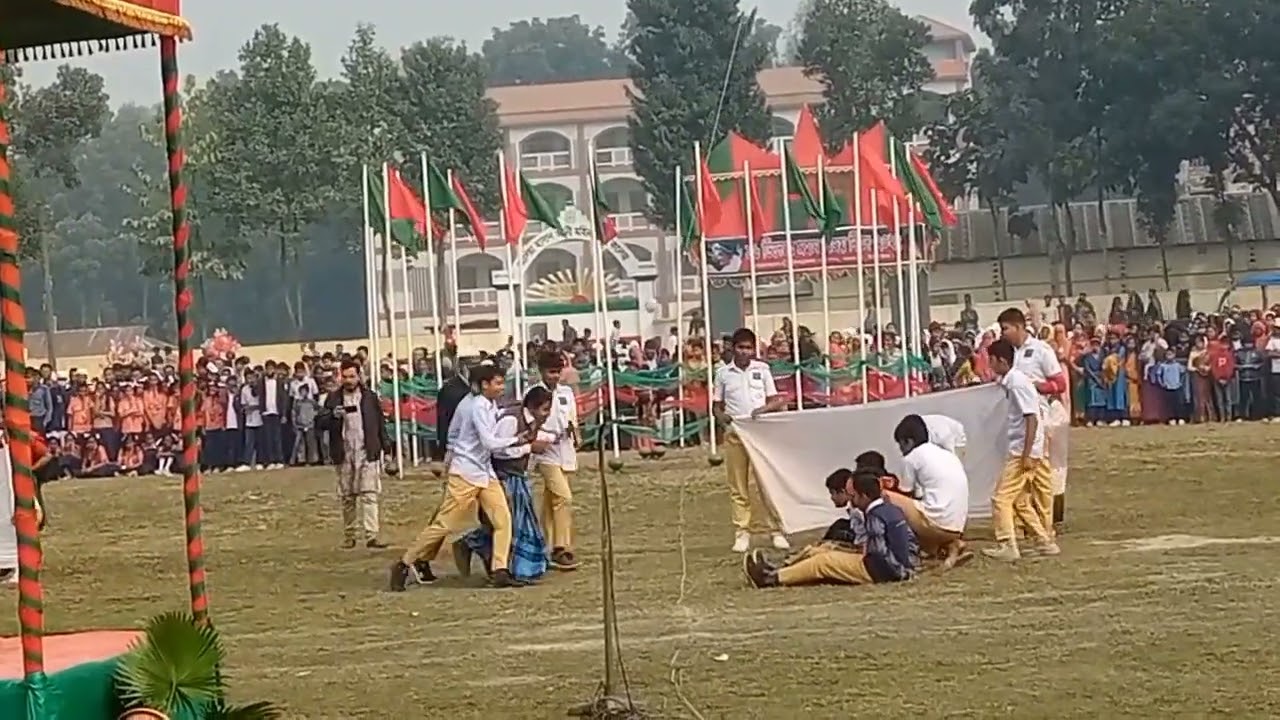 Dhanbari collegiate school.