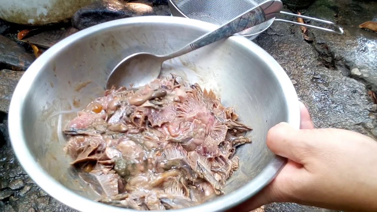 หมักไตปลาหรือวิธีดองไตปลาแบบง่ายๆ