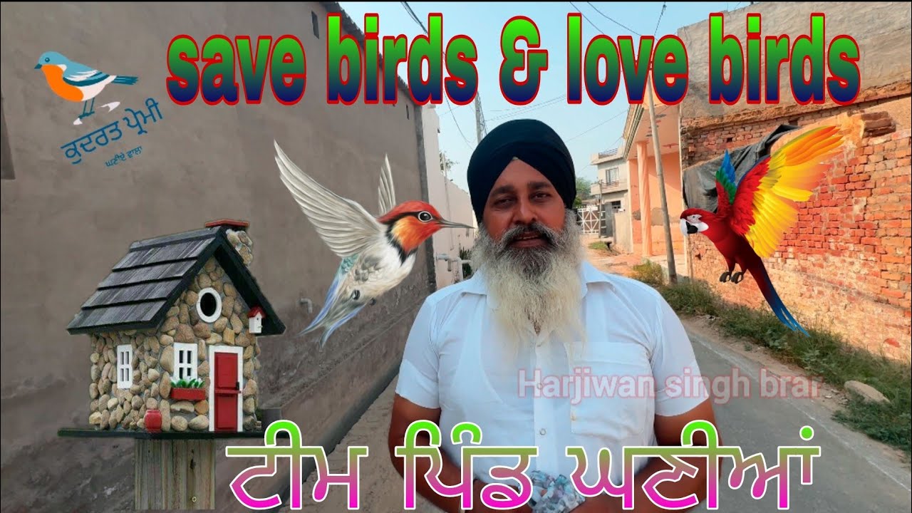 ਪੰਛੀਆਂ ਦੇ ਆਲ੍ਹਣੇ ਟੀਮ ਪਿੰਡ ਘਣੀਆਂ The birds nesting service #savebirds #birdslovers