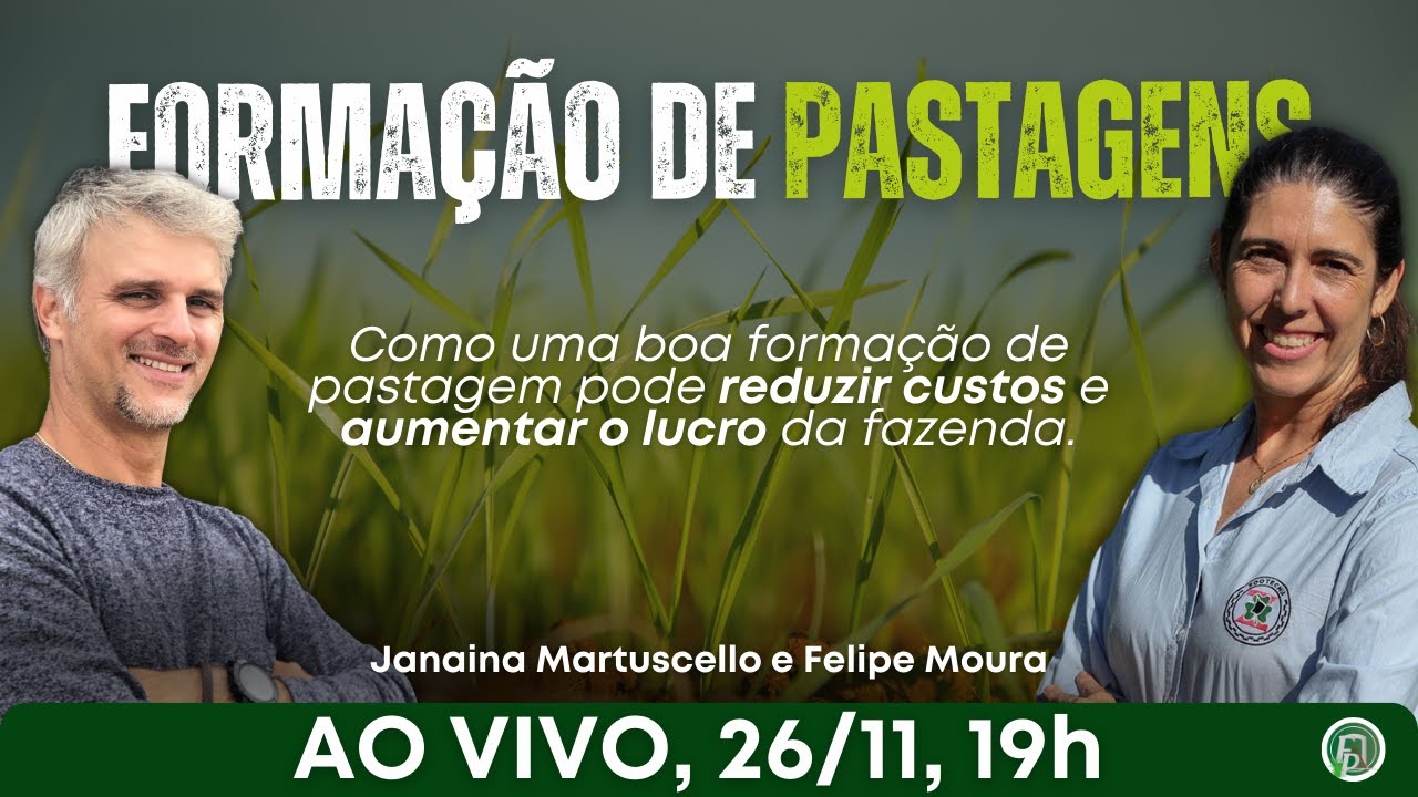 Forma&ccedil;&atilde;o de pastagens