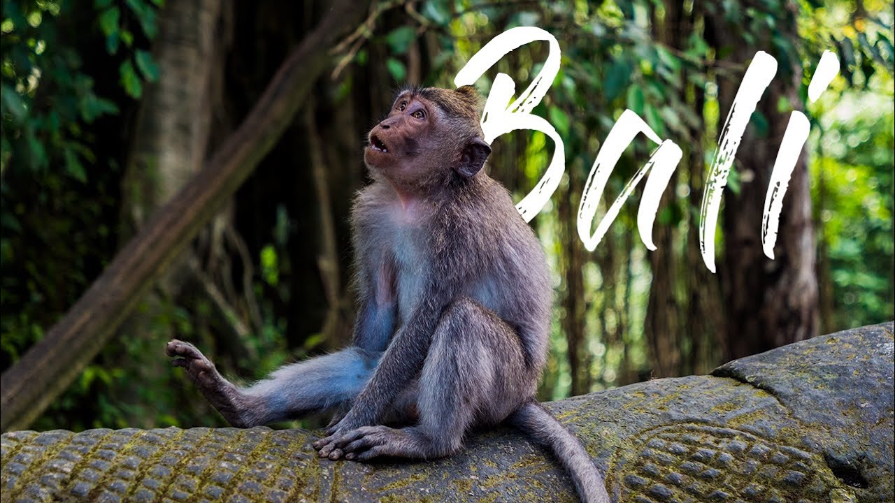 BALI - INDONESIA | 4K
