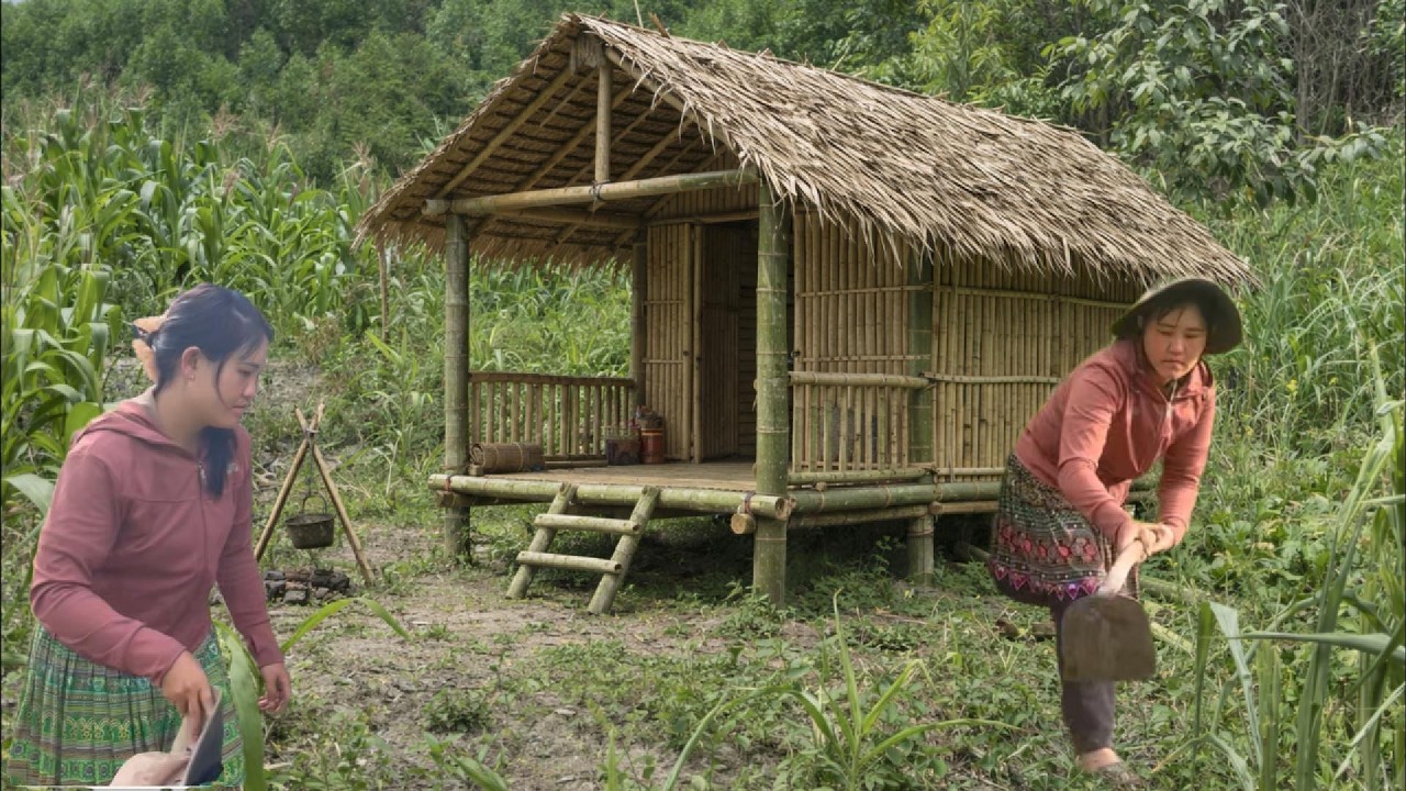 A Homeless Girl Lives Alone in the Forest and Builds a Bamboo House | lý linh chi