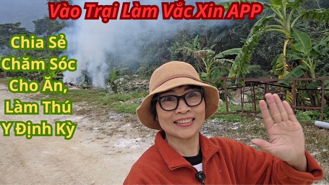 Vào Trại Làm Vắc Xin APP Chia Sẻ Chăm Sóc Cho Ăn Và Làm Thú Y Định Kỳ