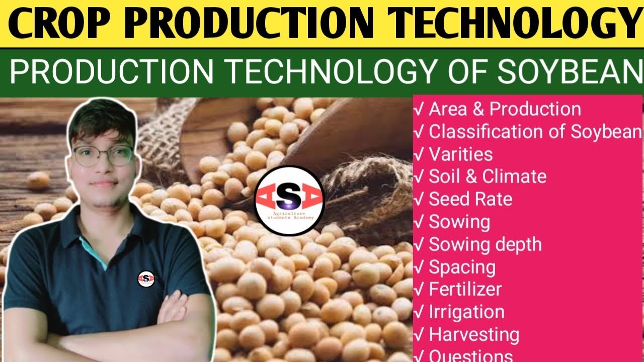 Soybean Cultivation #ICAR #BHU #oilseeds