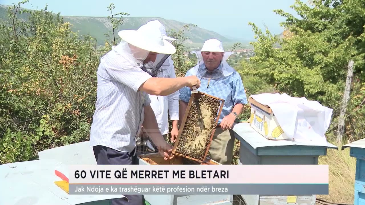 60 vite duke u kujdesur për bletët, Jak Ndoja zbulon sekretin e tyre