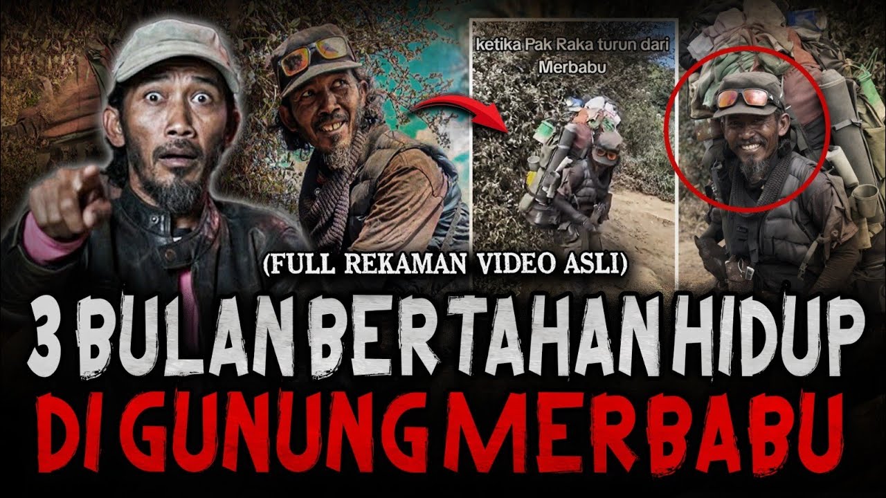 HAH?! UDAH GILA INI CERITA! 3 BULAN SURVIVE DI GUNUNG MERBABU DEMI PENCARIAN SITUS KENTENG SONGO