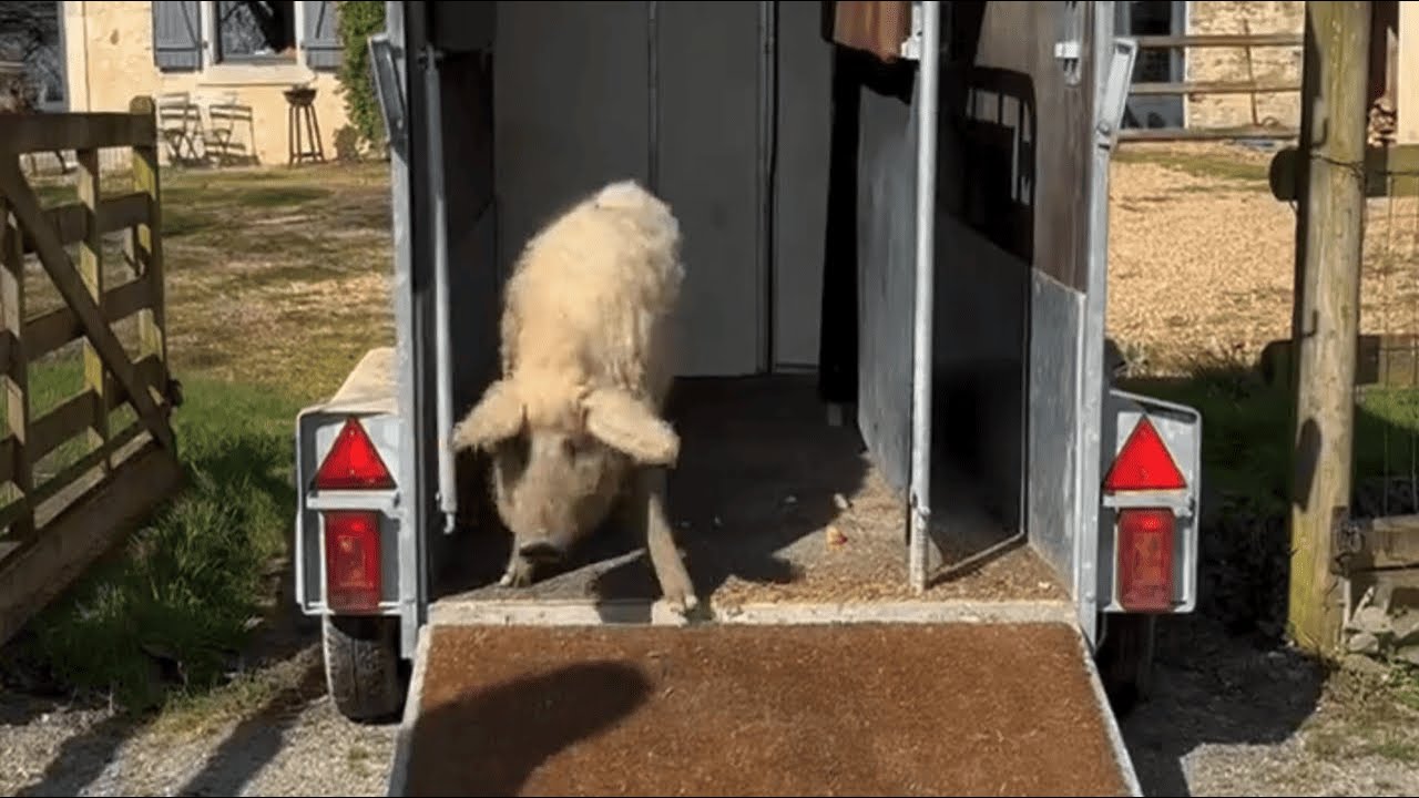 Bigoudi déménage !