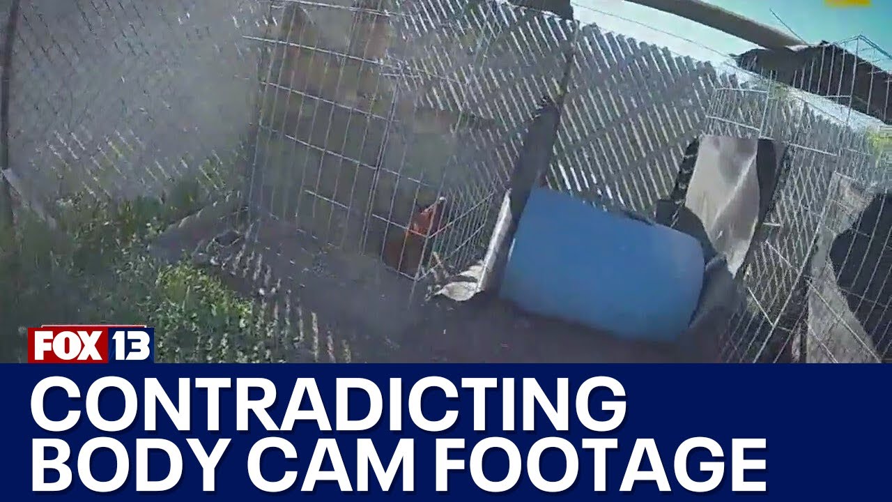 Body cameras contradict WA deputies' timeline in mass rooster shooting | FOX 13 Seattle