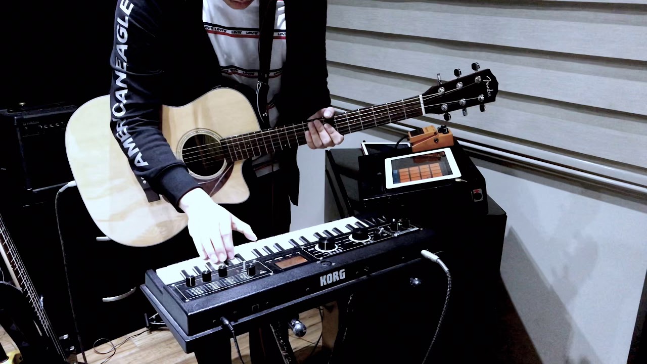 Metronomy - The Look ( Live Loop Pedal Cover)