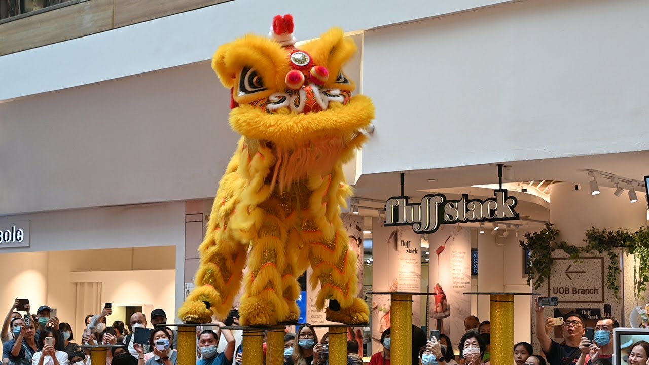Watch in Awe as Lions Come to Life at Tampines One!