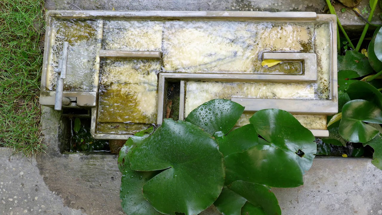 Carlo Scarpa e la Querini Stampalia - Venezia ©2018