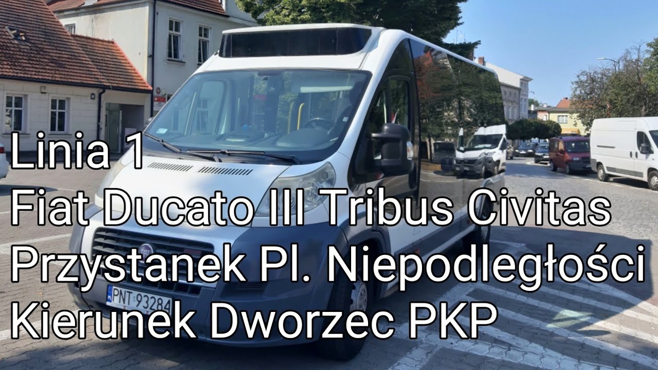 ZGM Nowy Tomyśl - Linia 1 - Fiat Ducato III Tribus Civitas