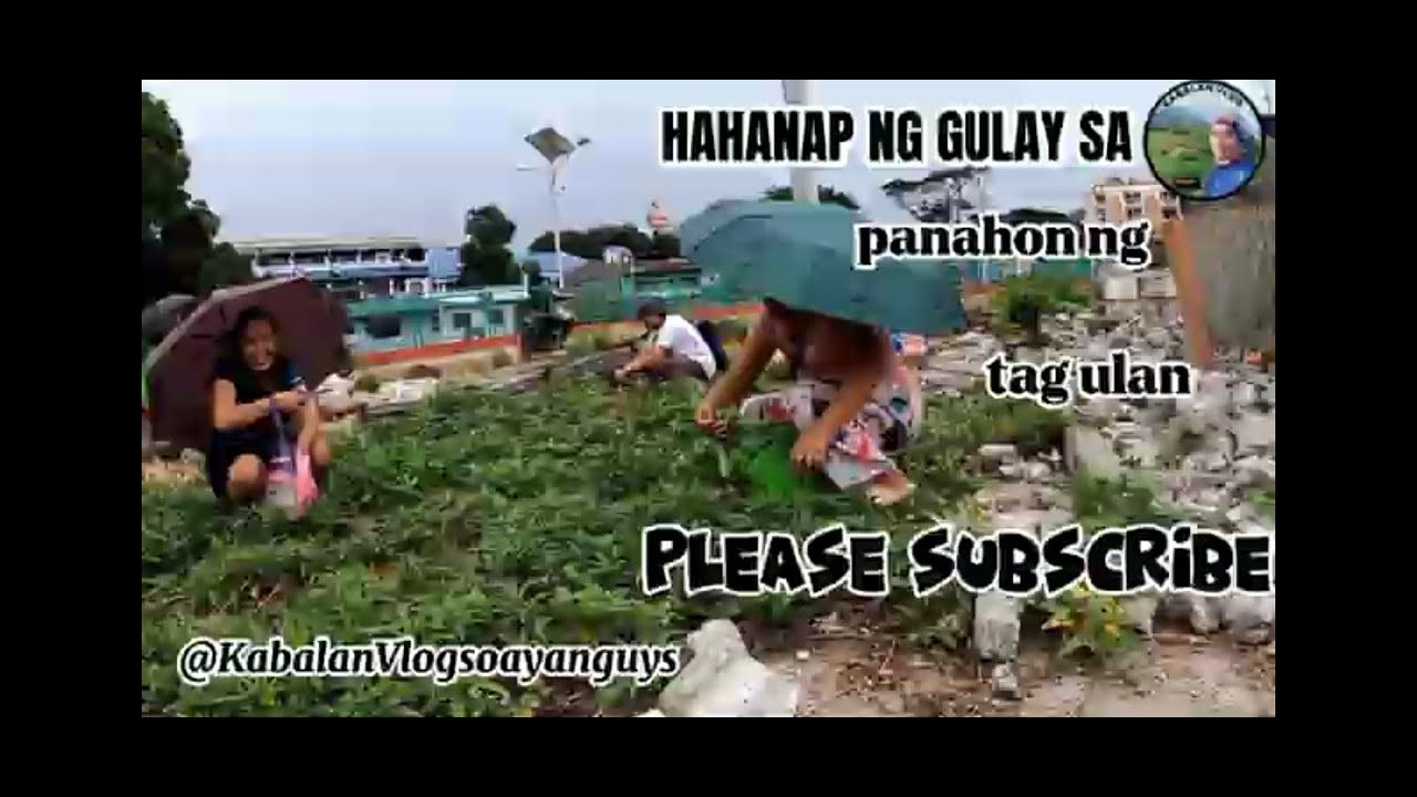 PART 2 Naghahanap ng mga gulay sa kalagitnaan ng bagyo #KabalanVlogsoayanguys