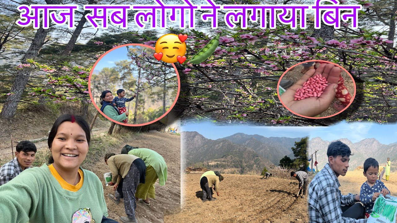 आज सब लोगो ने लगाया बिन 🤩🌸🫛||राजमा के दाल भी लगाया साथ में 🫘👍🏼|| Sonali phadi Vlogs ||🥰🌸