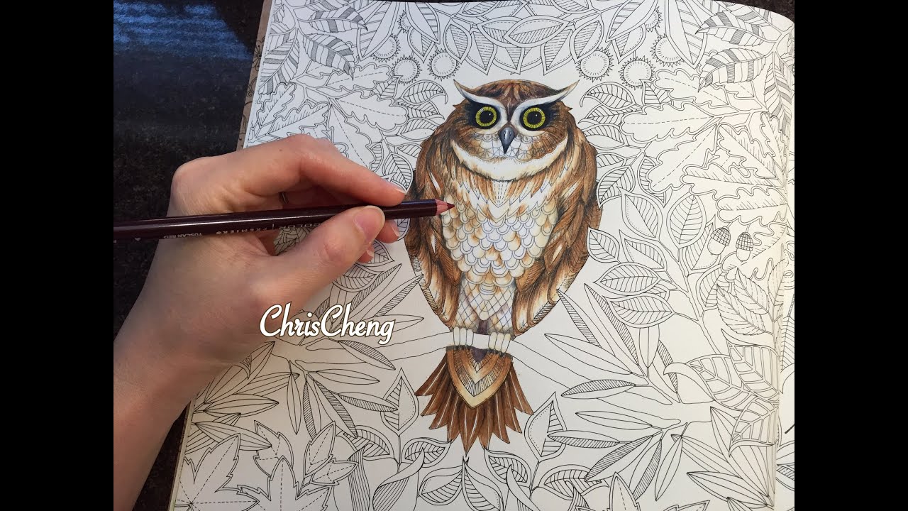 OWLS DRAWING / COLORING WITH COLORED PENCILS | SECRET GARDEN