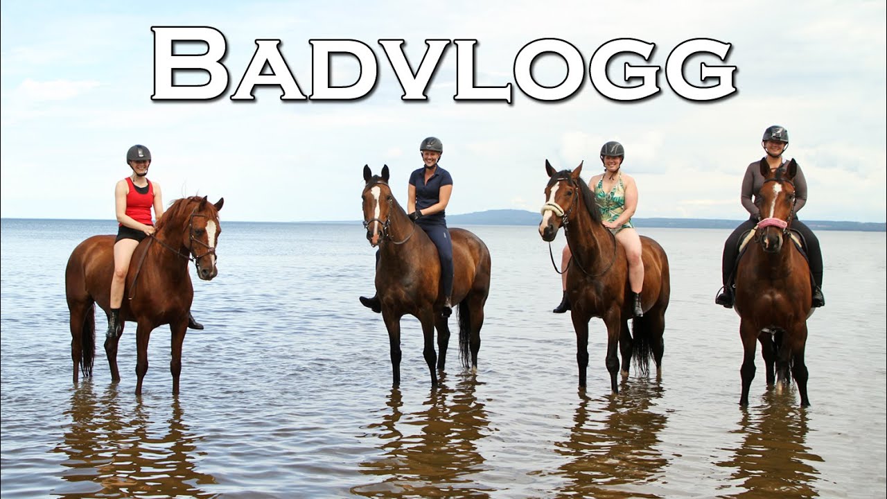 ÅKER OCH BADAR MED HÄSTARNA OCH VÅRA KOMPISAR - vlogg