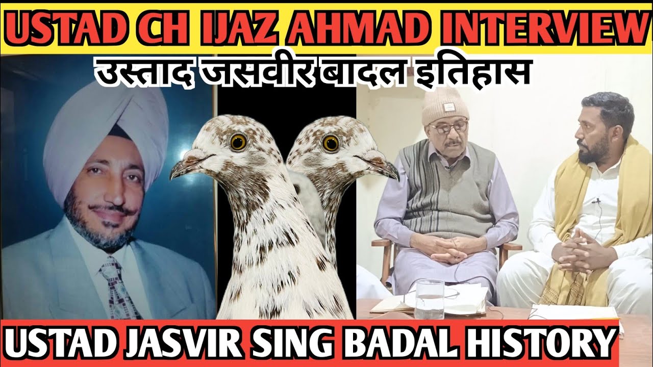USTAD JASBIR SING BADAL KE BARE INTERVIEW|| USTAD CH IJAZ AHMAD #aliimranpigeonsvlog