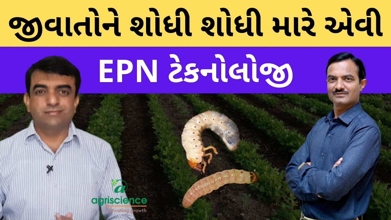 જીવાતોને શોધી શોધીને મારે એવી ટેકનોલોજી | EPN | Agriscience