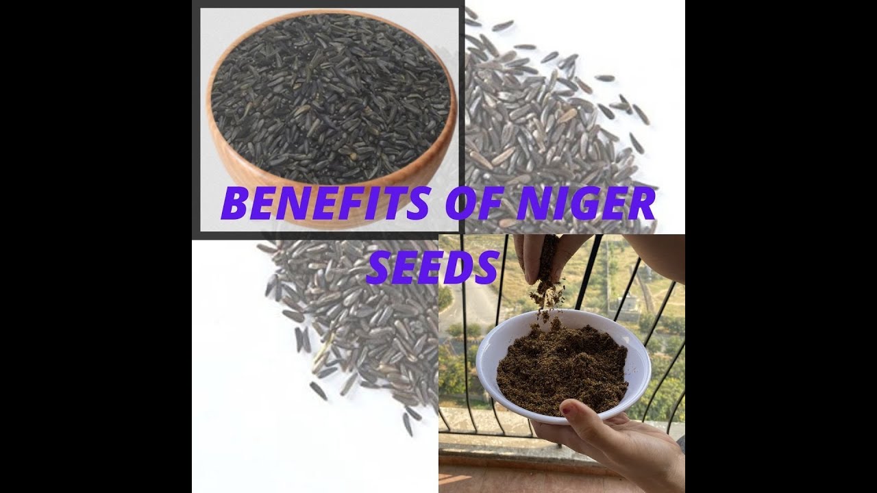 Benefits of Niger Seeds|| Niger Seeds Recipe|| Heathy Seeds|| Ambika Niranjan