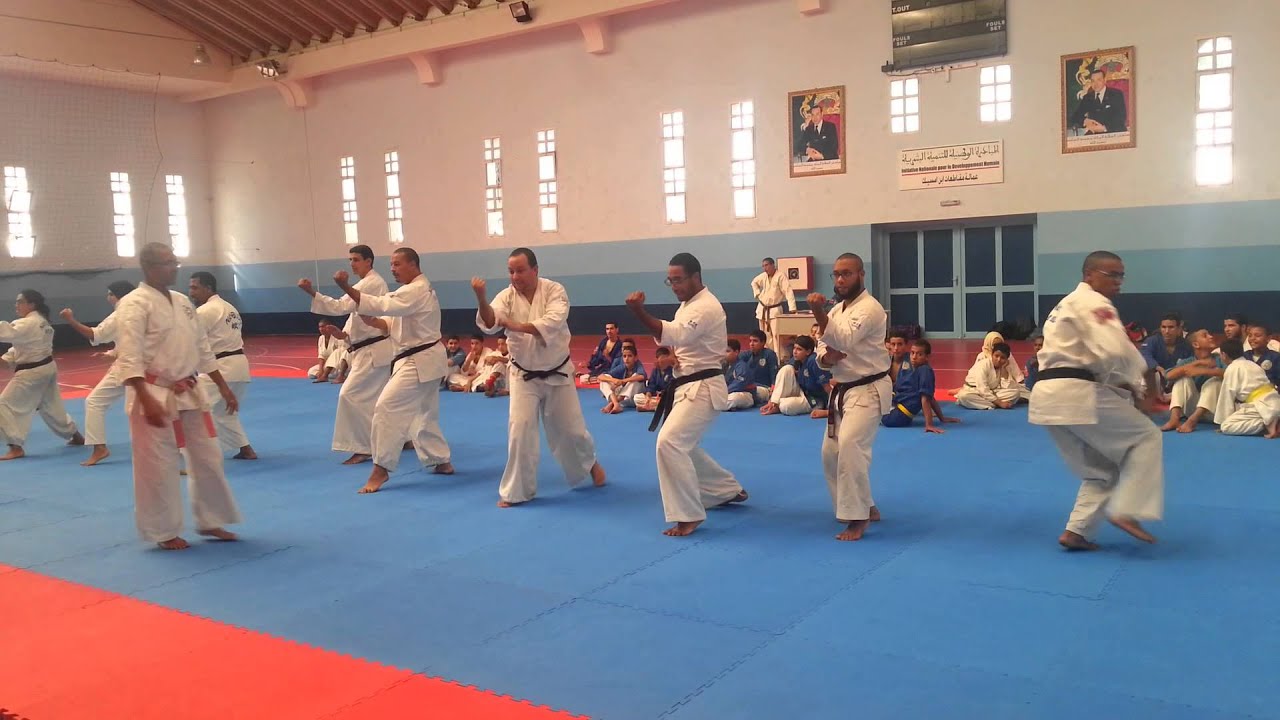 kata shin tajima & ananku
