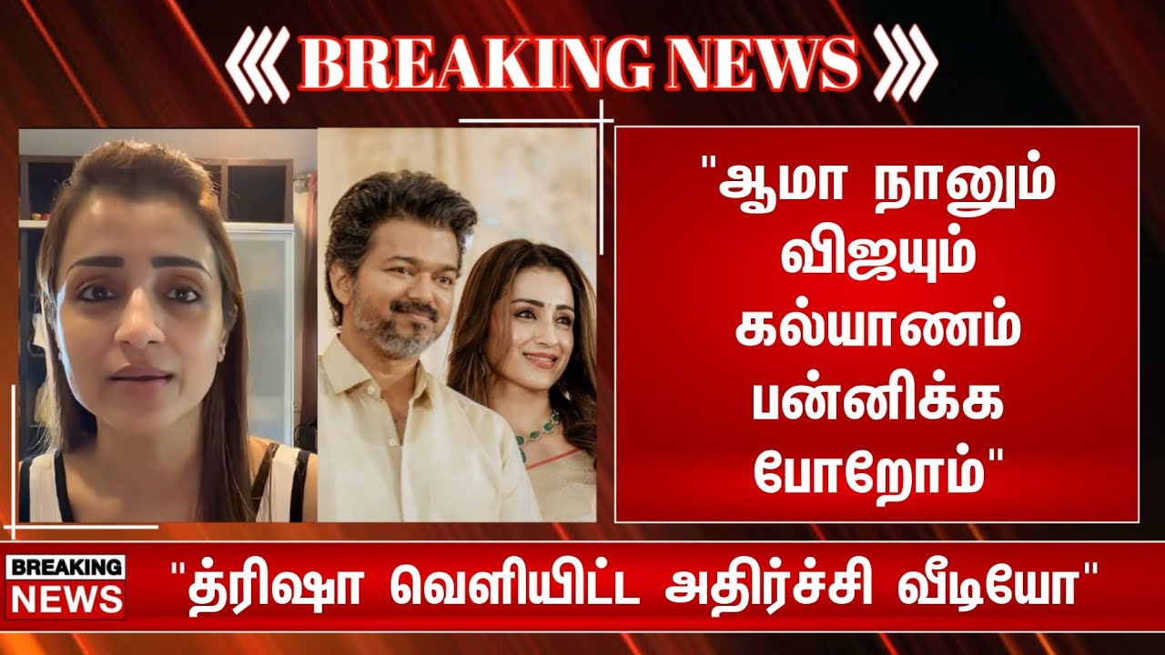 ஆமா நானும் விஜயும் கல்யாணம் பன்னிக்க போறோம்‌‌...! த்ரிஷா வெளியிட்ட அதிர்ச்சி வீடியோ 