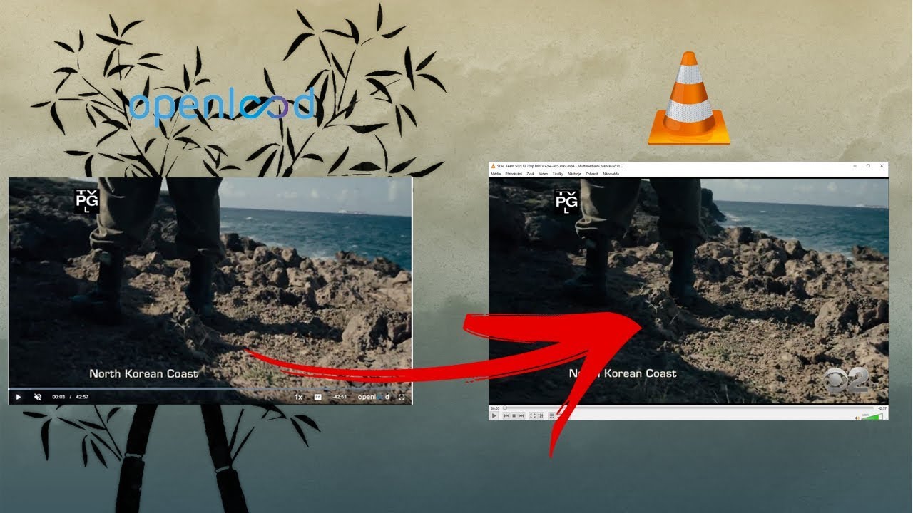 How to download video from openload.co *with subtitles