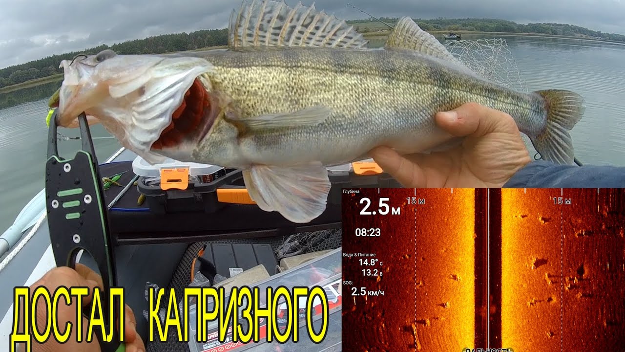 Эхолот Raymarine Element 7 HV  350 И 1 2 ЧАСТОТА ГДЕ РЫБА? СУПЕР КАПРИЗНЫЙ СУДАК НА СПИННИНГ ОСЕНЬЮ,