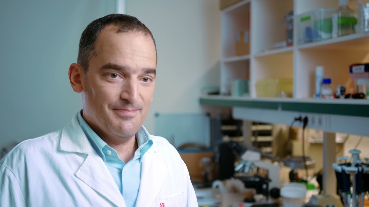 HCEMM-SU In Vivo Imaging Advanced Core Facility - Domokos Máthé DVM, PhD