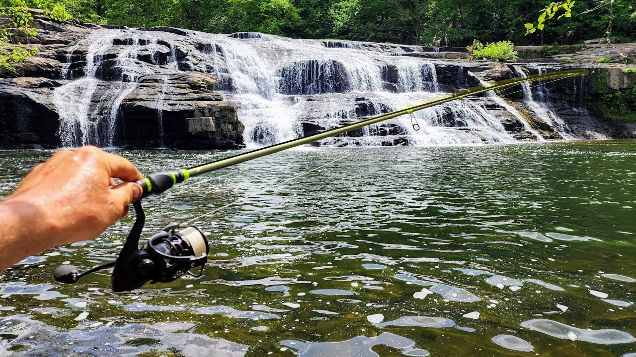 Fishing Below A 30 FOOT WATERFALL!! (New Species)