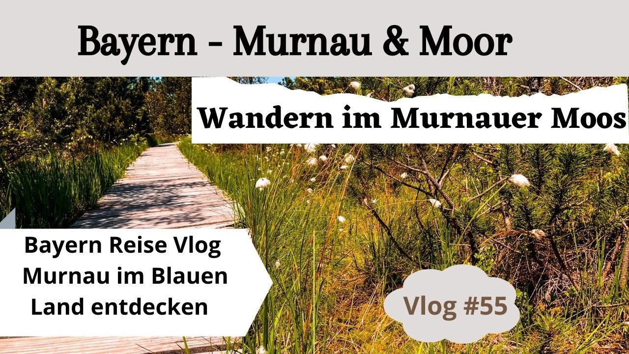 Bayern Roadtrip, Murnau & Murnauer Moos - Moor Wanderung im Blauen Land | Reise Vlog #55
